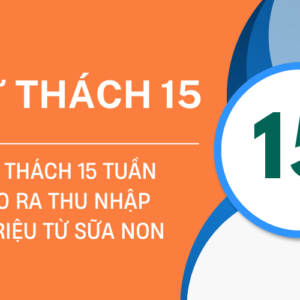 Thử thách 15